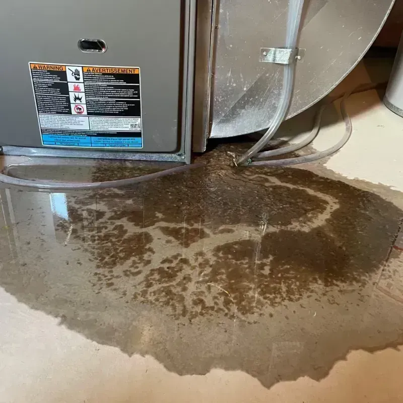 Appliance Leak Cleanup in Bartlesville, OK